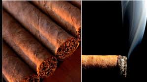 zigarren von mycigars