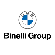 binelli group logo